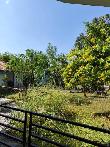 a view of a garden from a fence at Mandaal Corbett in Rāmnagar