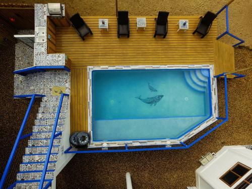 an overhead view of a swimming pool with a fish in the water at Beachfront 3-Bed, 2-Bath Family Getaway with Pool in Placencia