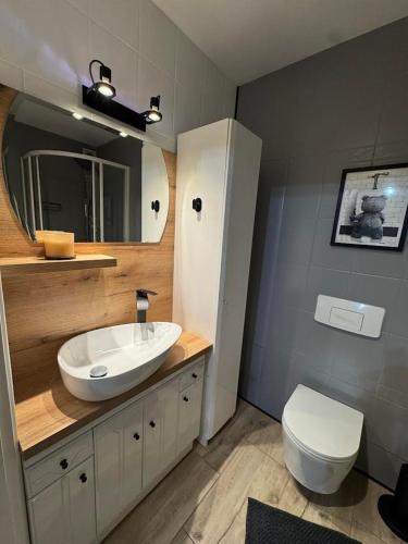 a bathroom with a sink and a toilet at Apartament W Cieniu Twierdzy in Kłodzko