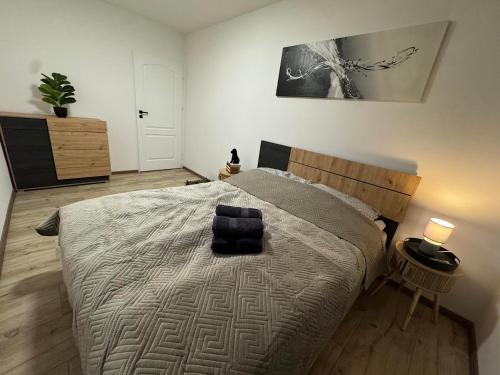 a bedroom with a large bed in a room at Apartament W Cieniu Twierdzy in Kłodzko