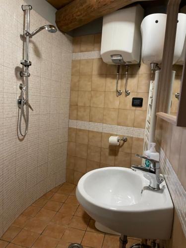 a bathroom with a shower and a white sink at Noce Melano in Montattico