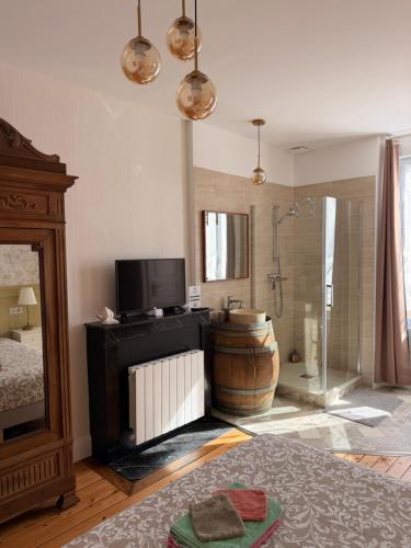 a bathroom with a shower and a television and a tub at Au charme de Rilly in Rilly-la-Montagne