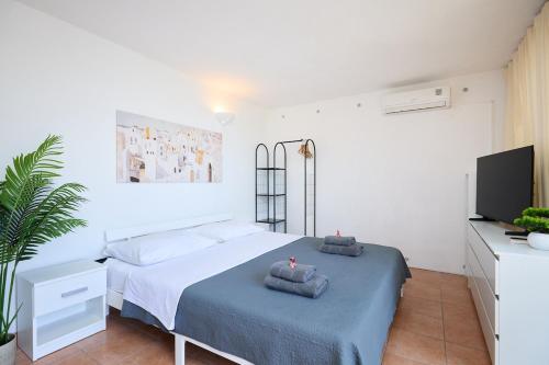 Studio Apartment-The View