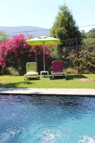due sedie e un ombrellone accanto a una piscina di Nuwerus Lodge Paarl a Paarl