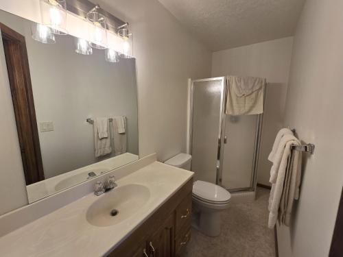 a bathroom with a sink and a toilet and a shower at Salt River Lodge in Thayne