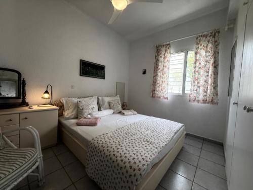a bedroom with a bed and a tv and a window at Ellis house Agnanti in Kalives Poligirou