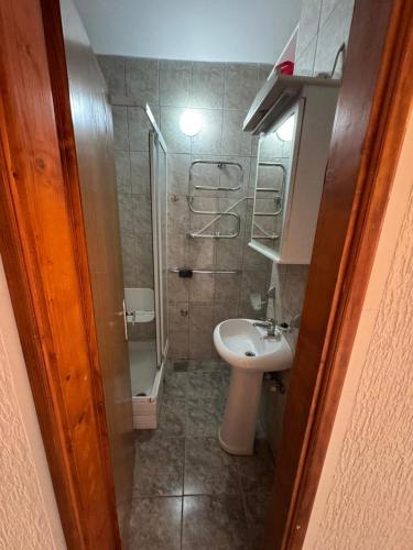 a small bathroom with a sink and a shower at Stas Apartments in Đenovići