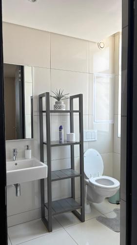 a bathroom with a sink and a toilet and a mirror at Finagaello 3 bedrooms-Self catering at 77 on Independence in Windhoek
