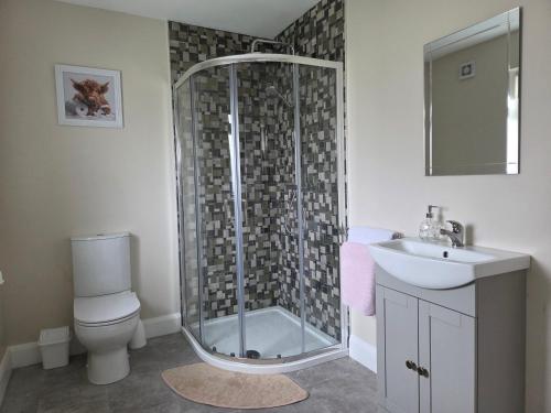 a bathroom with a shower and a toilet and a sink at Meadow View in Kilkenny