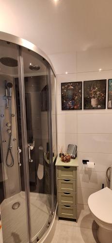 a bathroom with a shower and a toilet and a sink at Zielone Okno Apartament w Augustowie blisko jeziora i centrum in Augustów