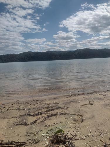 a body of water with trees in the background at Lancha melodia paraty in Paraty