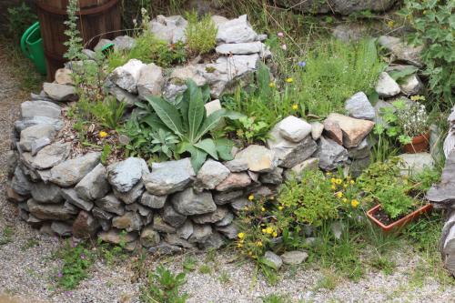 a rock garden with a bunch of flowers and plants at Aussermairhof in Campo Tures