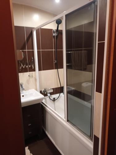 a bathroom with a shower and a sink at 2 precu 17 in Daugavpils