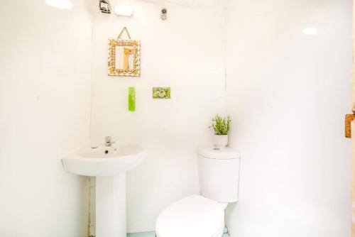 a white bathroom with a toilet and a sink at 1 Bed in Bude oc-s34857 in Bude