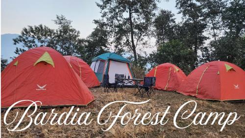 a group of tents in a field with the words buffalo forest camp at Bardia Forest Camp in Bardiyā