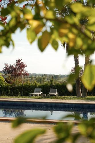two benches sitting next to a swimming pool at Masia Olivera in Sant Pau dʼOrdal