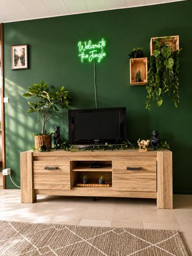 a living room with a flat screen tv on a entertainment center at Appartement thème jungle in Avallon