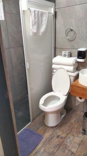 a bathroom with a toilet and a shower at Estancia Familiar cerca de Paseo Durango in Durango