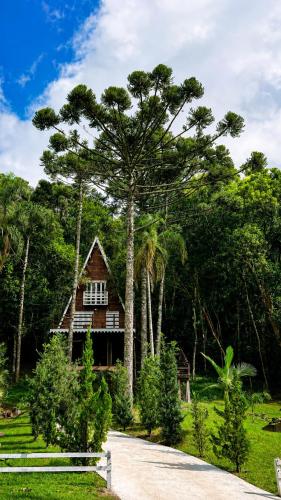 a house with a large tree in front of it at Cabana Recanto da Araucária in Santa Cruz do Sul