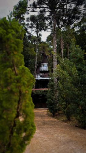a house in the middle of a forest of trees at Cabana Recanto da Araucária in Santa Cruz do Sul