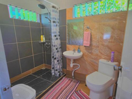 a bathroom with a toilet and a sink at Bora Bora Vairupe lodge in Bora Bora