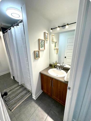 a bathroom with a sink and a mirror at The Extravagant Minimalist in Gatineau