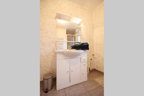 a bathroom with a white sink and a mirror at La Maison Tourangelle in Tours