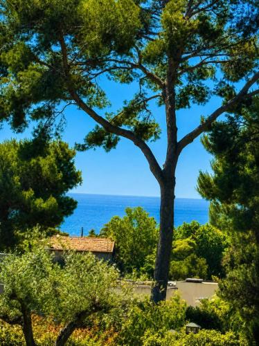 Contemporary luxury villa in Antibes 3 bedrooms 6 guests Pool & parki