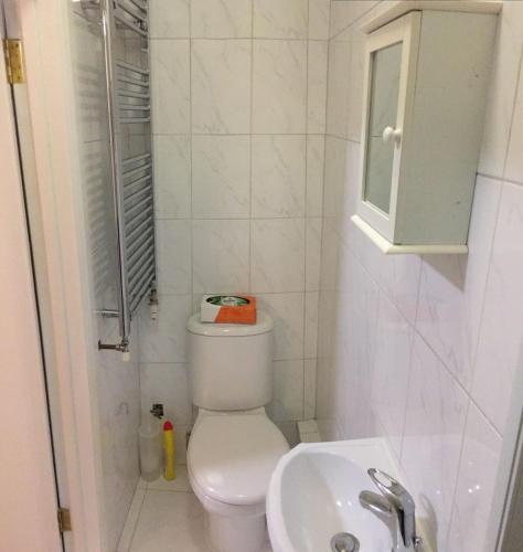 a small bathroom with a toilet and a sink at The Bungalow in London