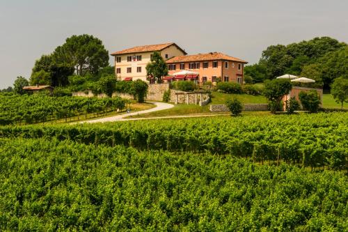 a house on a hill next to a field of vines at Country House Giusti Abazia in Nervesa della Battaglia