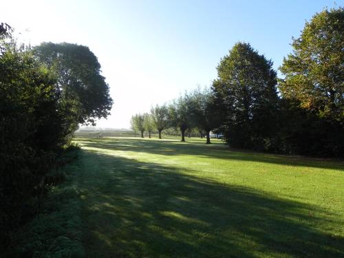 a field of grass with trees in the distance at Hoeve de Mertel in Biezenmortel