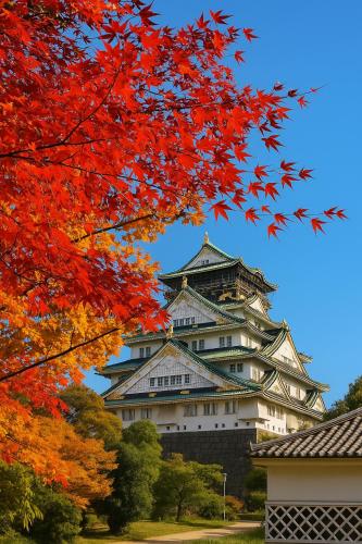 Large Traditional Japanese House Near Osaka Castle 4BR 2 Baths Sleeps 10