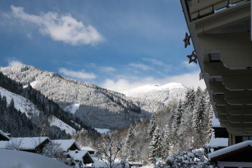 - une vue sur une montagne enneigée depuis un bâtiment dans l'établissement Appartementhaus Karin, à Viehhofen