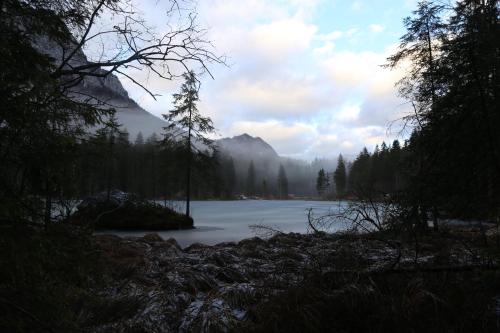 a view of a lake with trees and a mountain at Hotel Köppeleck in Schönau am Königssee