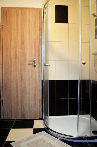 a shower with a glass door in a bathroom at EDER- Penzion & Apartmány in Horní Planá