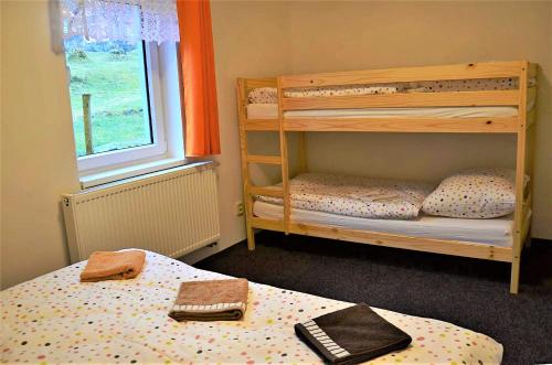 a bedroom with two bunk beds and a window at EDER- Penzion & Apartmány in Horní Planá