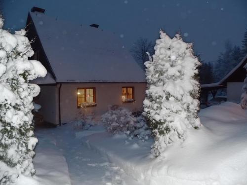 Ferienwohnung Ulbrich im Winter