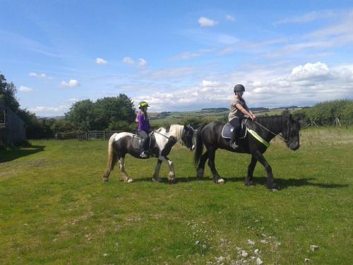 two people riding on horses in a field at Long Mountain Centre Log Cabins in Meadowtown