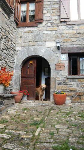 un perro parado en la puerta de un edificio en Kapel Etxea, en Urzainqui