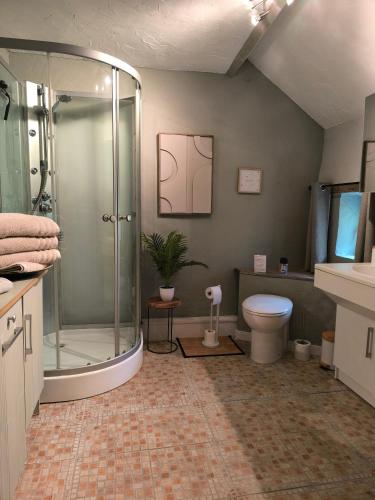 a bathroom with a shower and a toilet at Pierres & prée Cocon de Charme et sa terrasse étoilée in Mettet