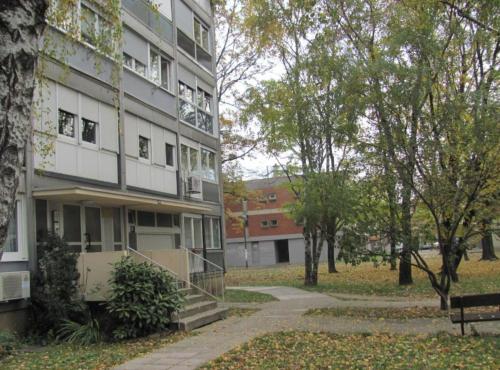 Apartment Alma