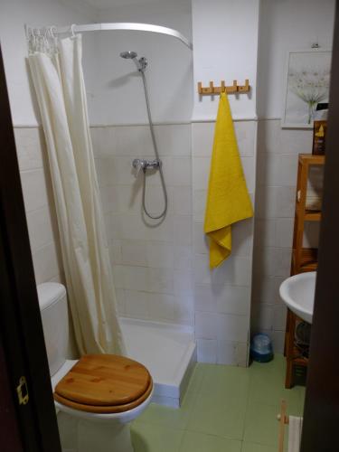 a bathroom with a shower with a toilet and a sink at Apartamento Valdenieve VUTE-15-041 in Valdelinares