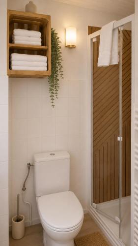 a bathroom with a toilet and a shower with towels at Les Jardins de L'Ocean - Climatisé in Biscarrosse-Plage