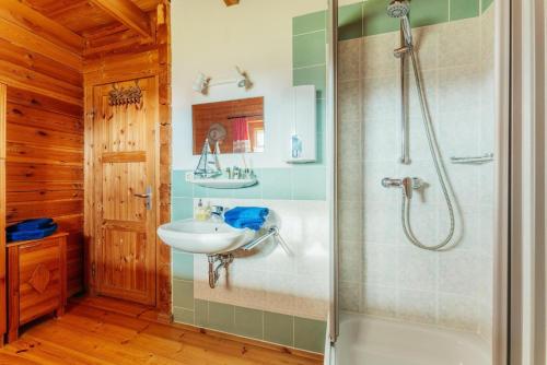 a bathroom with a shower and a sink at Der Fuchsbau - 3 Blockhäuser in Bad Sachsa