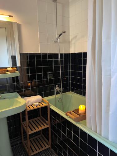 a bathroom with a green bath tub and a sink at Studio à l'entrée de ma maison in Aubusson
