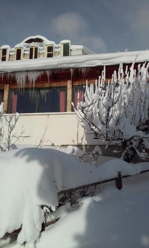 a house covered in snow with a snow covered tree at Nido delle Rondini hotel Ristorante Pizzeria in Fallo