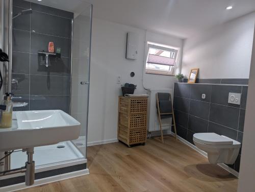 ein Badezimmer mit Waschbecken, Toilette und Dusche in der Unterkunft Quartier Allna in Allna