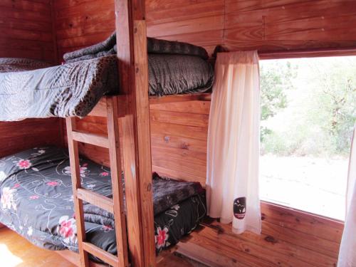 1 dormitorio con literas en una cabaña de madera en Observatorio Ampimpa in 