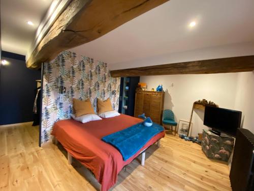 a bedroom with a bed and a tv in it at Clos La Chavenière in Chissey-lès-Mâcon