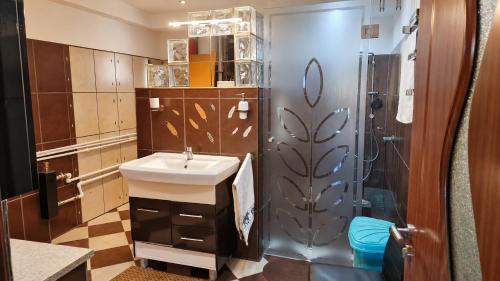a bathroom with a sink and a shower at Vis de Primăvară, vilă întreagă cu 4 dormitoare și vedere la lac in Limanu